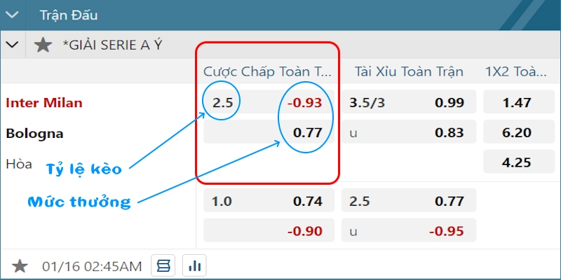 Ví dụ kèo chấp 2.5 là gì ?