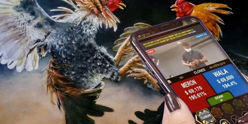 Đá gà online là hình thức giải trí thịnh hành không ngớt