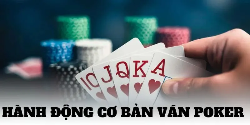 Các hành động cơ bản nhất của một ván cược Poker 